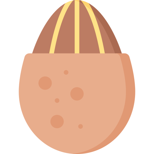 Almond Special Flat icon