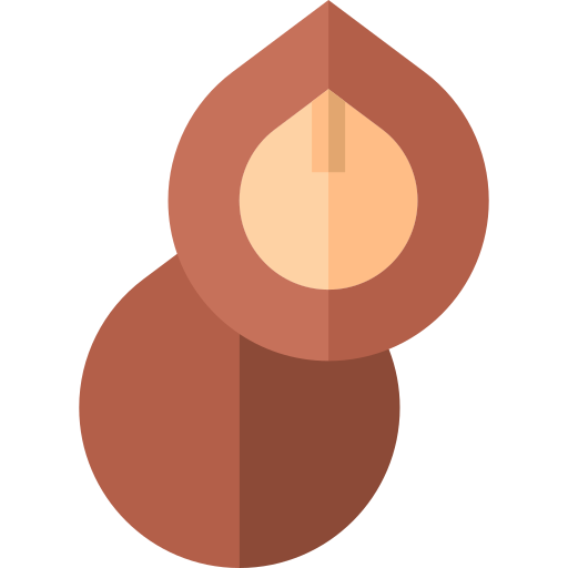 macadamia noot Basic Straight Flat icoon