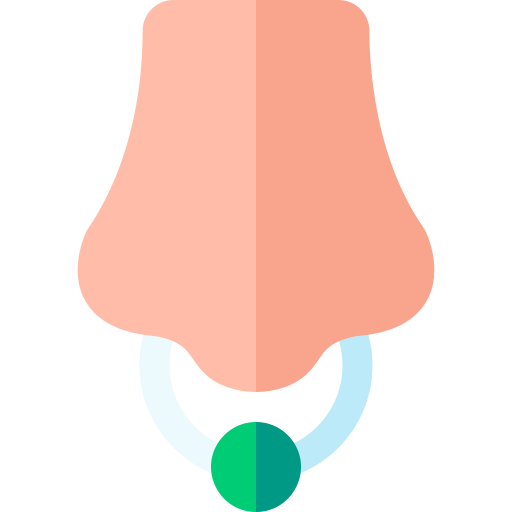 piercing Basic Rounded Flat icon