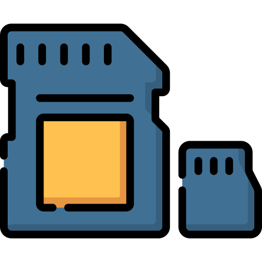carte sd Special Lineal color Icône