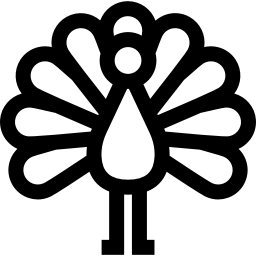 孔雀 Basic Straight Lineal icon