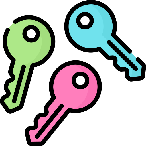 Key Special Lineal color icon