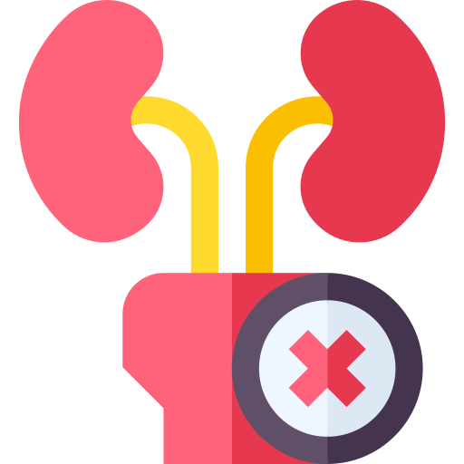 Kidney Basic Straight Flat icon