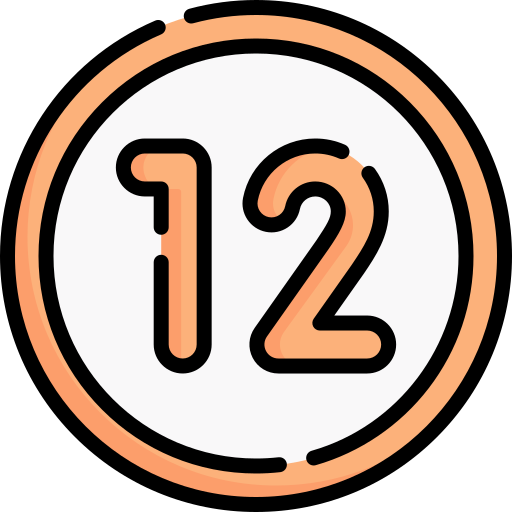 12 Special Lineal color icon