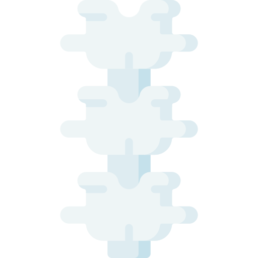 columna vertebral Special Flat icono