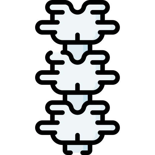 colonna vertebrale Special Lineal color icona