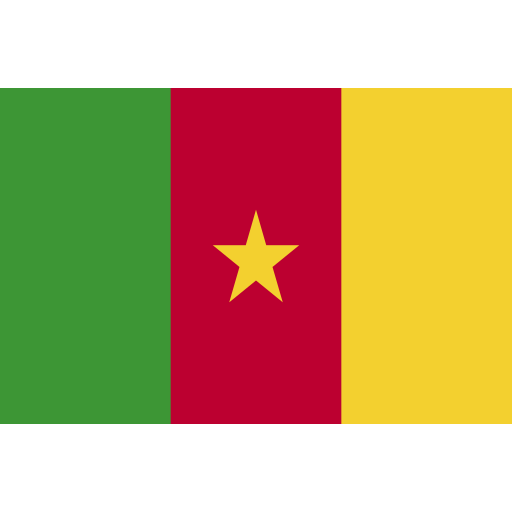 cameroun Generic Flat Icône