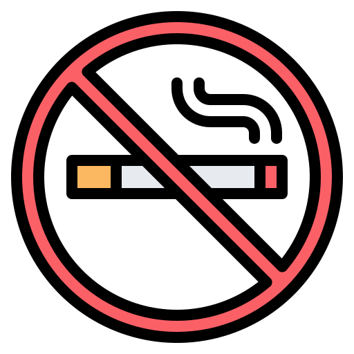 ne pas fumer Generic Outline Color Icône