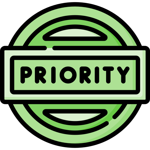 Priority Special Lineal color icon