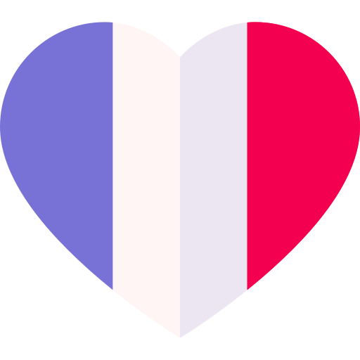 フランス Basic Straight Flat icon