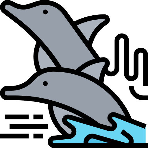 golfinho Meticulous Lineal Color Ícone