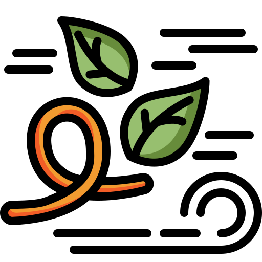 viento Generic Outline Color icono