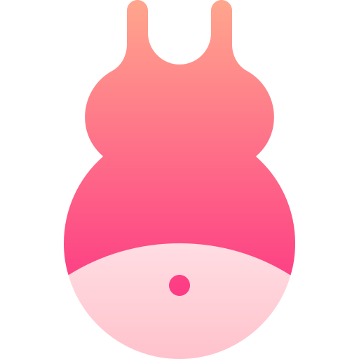 zwangerschap Basic Gradient Gradient icoon
