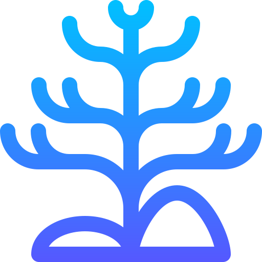 コーラル Basic Gradient Lineal color icon