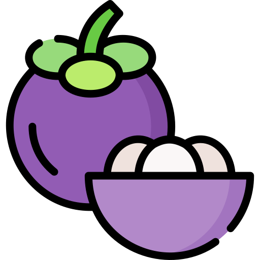 mangostan Special Lineal color icon