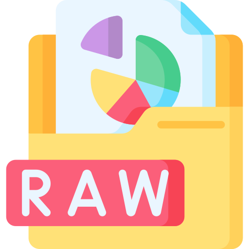 Raw file Special Flat icon