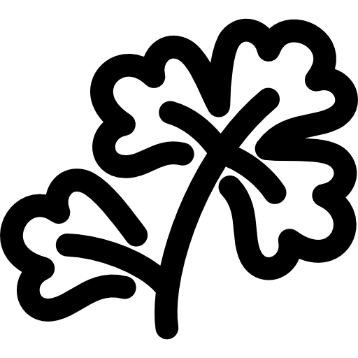 perejil Voysla Lineal icono
