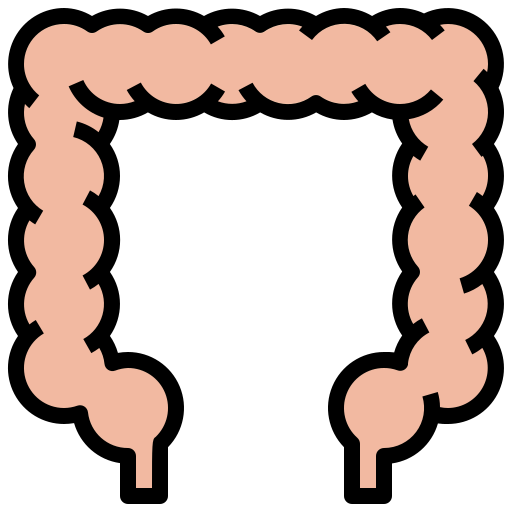 intestino crasso Generic Outline Color icona