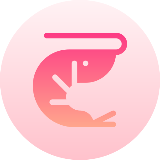 Shrimp Basic Gradient Circular icon