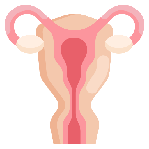 Uterus Generic Flat icon