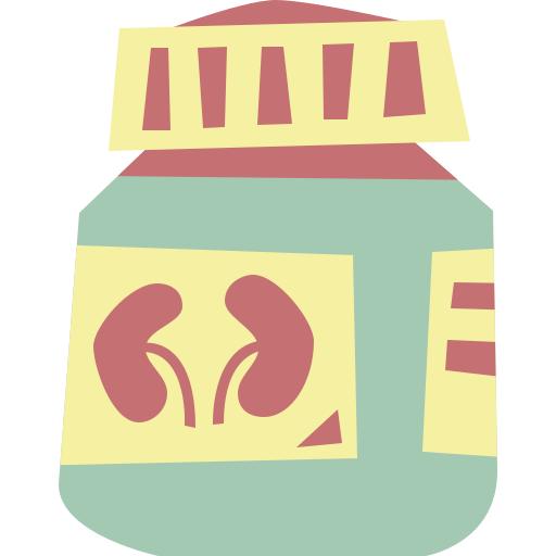Kidney Cartoon Flat icon