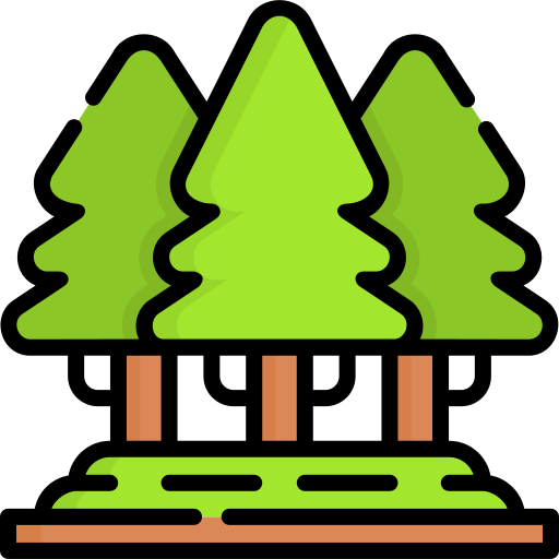 Forest Special Lineal color icon