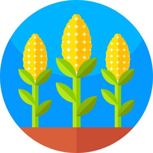 maíz Geometric Flat Circular Flat icono