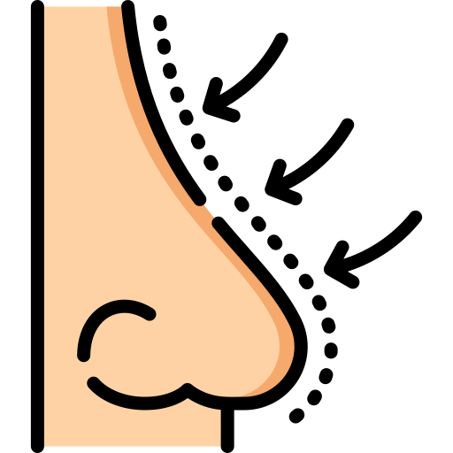 Rhinoplasty Special Lineal color icon