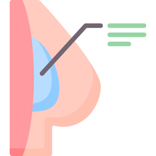 Breast implant Special Flat icon