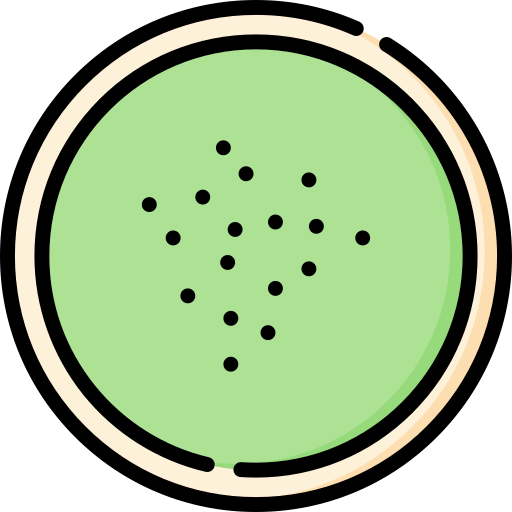 зеленая фасоль Special Lineal color иконка
