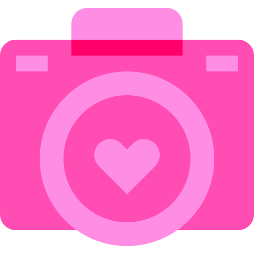 camera Basic Sheer Flat icoon