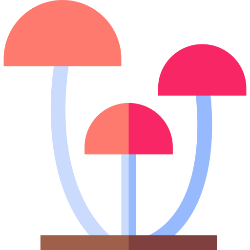 버섯 Basic Straight Flat icon