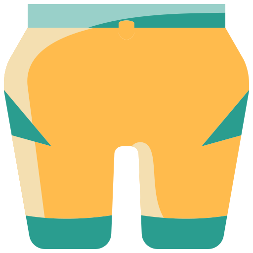 Swim suit Generic Flat icon