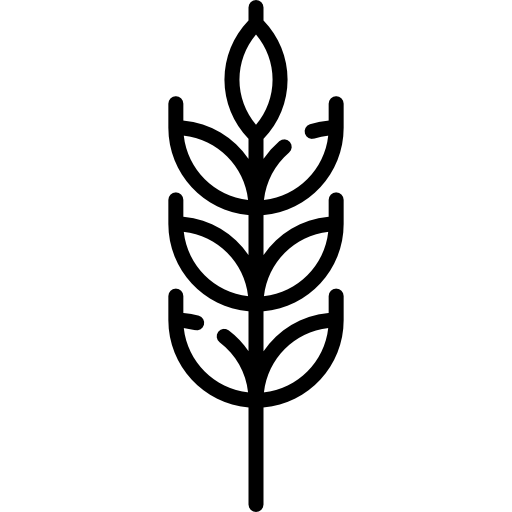 trigo Special Lineal Ícone