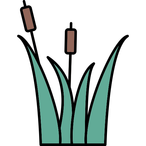 Reeds Generic Thin Outline Color icon