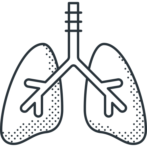 płuca Detailed Offset Lineal ikona