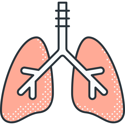 pulmones Detailed Offset Lineal color icono