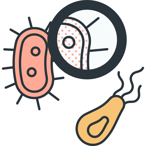 Bacteria Detailed Offset Lineal color icon