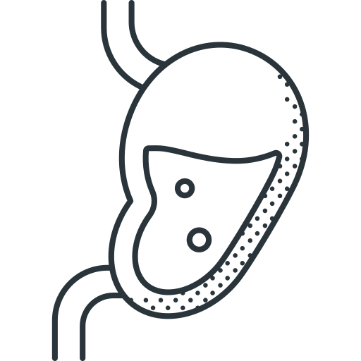 estómago Detailed Offset Lineal icono