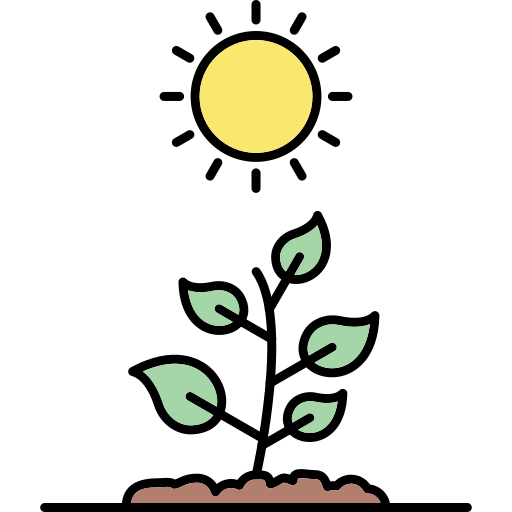 Photosynthesis Generic Thin Outline Color icon