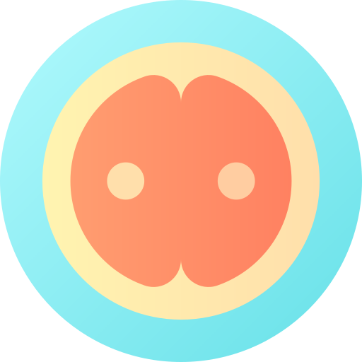 reprodukcja Flat Circular Gradient ikona