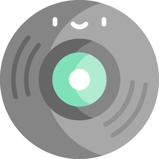 Vinyl Kawaii Flat icon