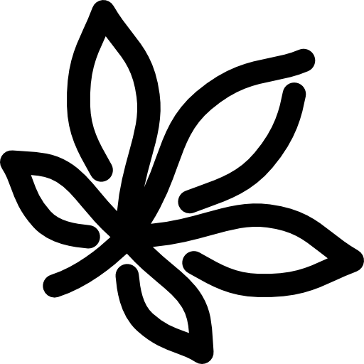 hoja Voysla Lineal icono