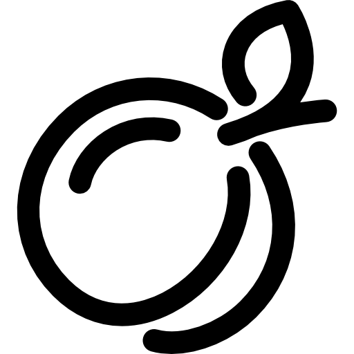 Plum Voysla Lineal icon