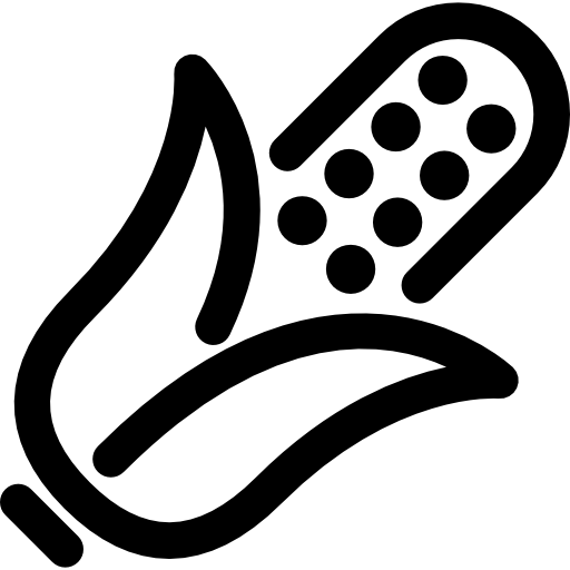 Кукуруза Voysla Lineal иконка