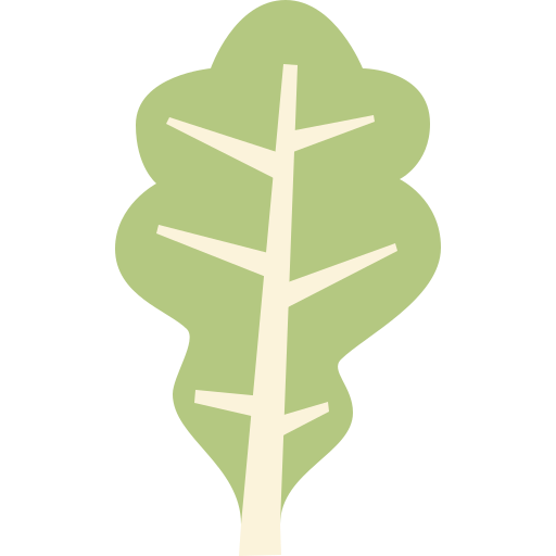 Kale Cartoon Flat icon