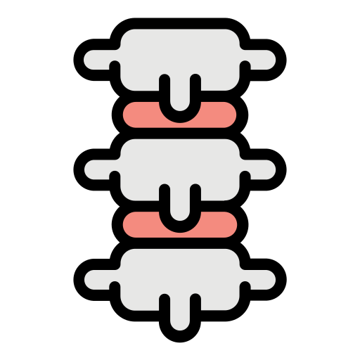 columna vertebral Generic Outline Color icono