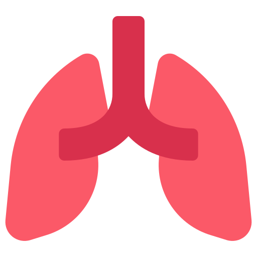 pulmones Generic Flat icono
