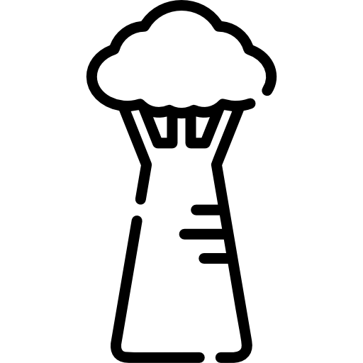 Баобаб Special Lineal иконка