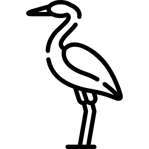 コウノトリ Special Lineal icon